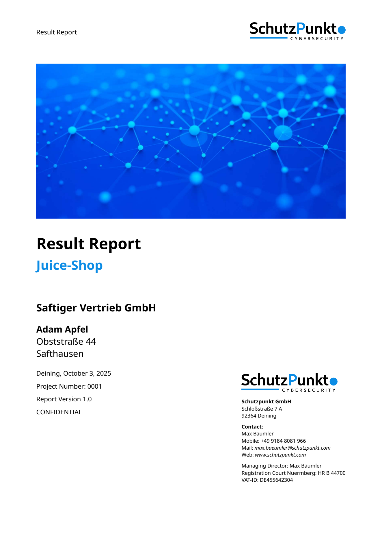 Schutzpunkt Report