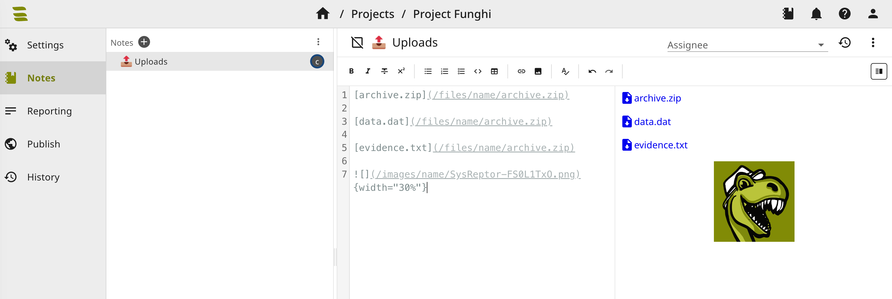 Uploaded files